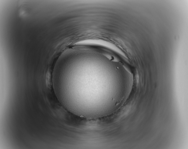 X0000099570964200805231528