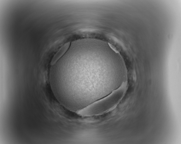 X0000099570965200805231528