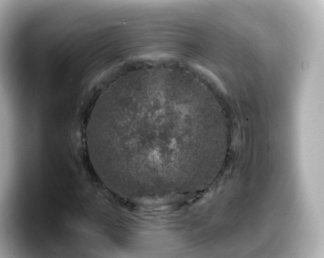 X0000099570966200805231528