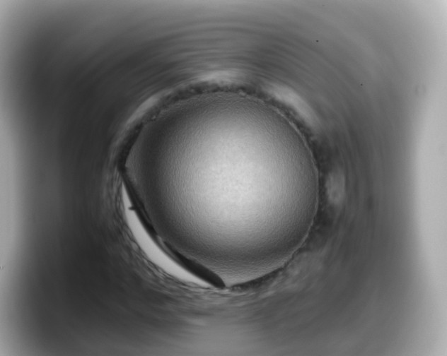 X0000099570968200805231528