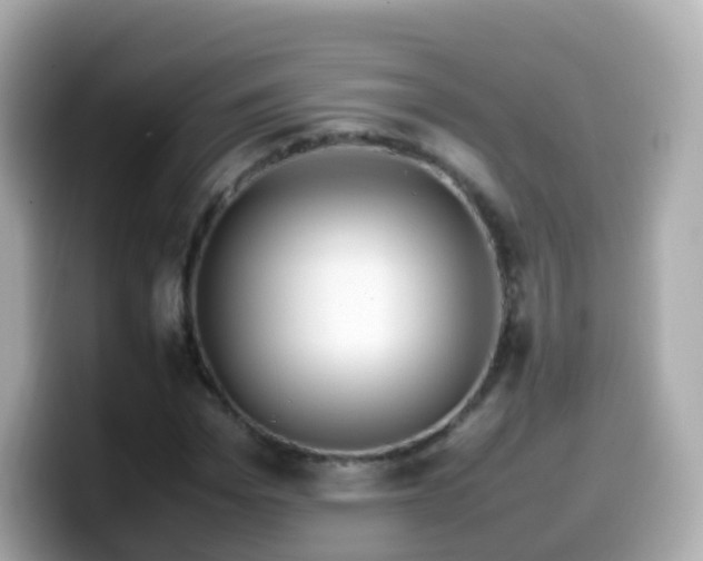 X0000099570969200805231528