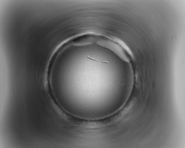 X0000099570972200805231528