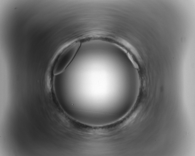 X0000099570973200805231528