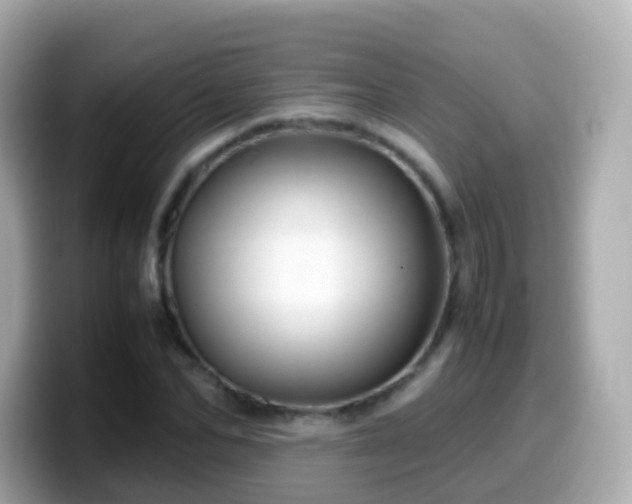 X0000099570974200805231528