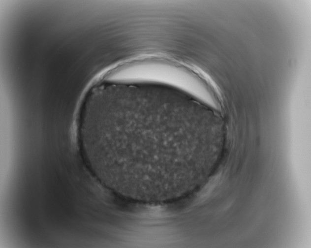 X0000099570975200805231528