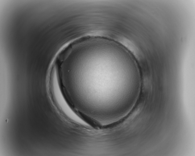 X0000099570976200805231528