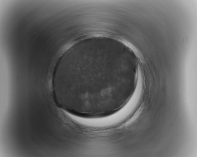 X0000099570977200805231528