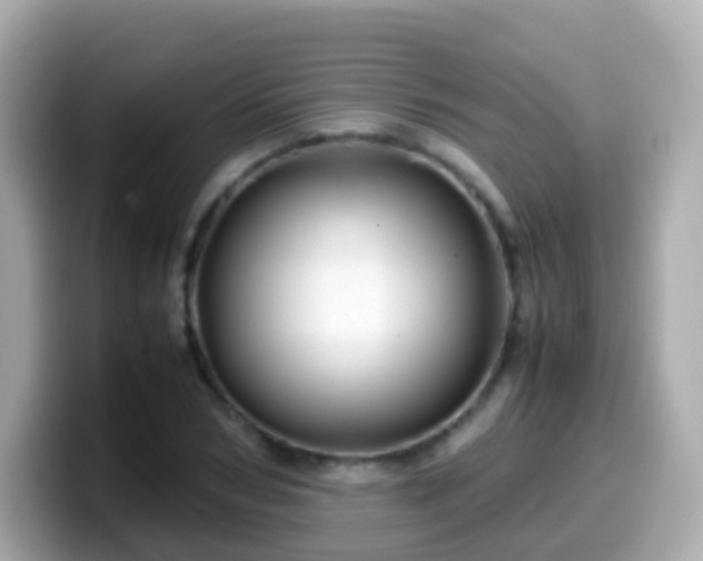 X0000099570978200805231528