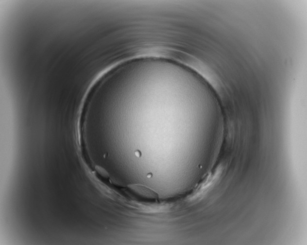 X0000099570980200805231528