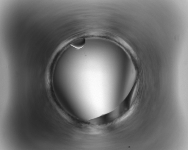 X0000099570981200805231528