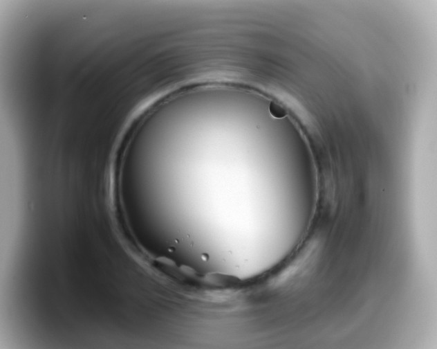 X0000099570982200805231528