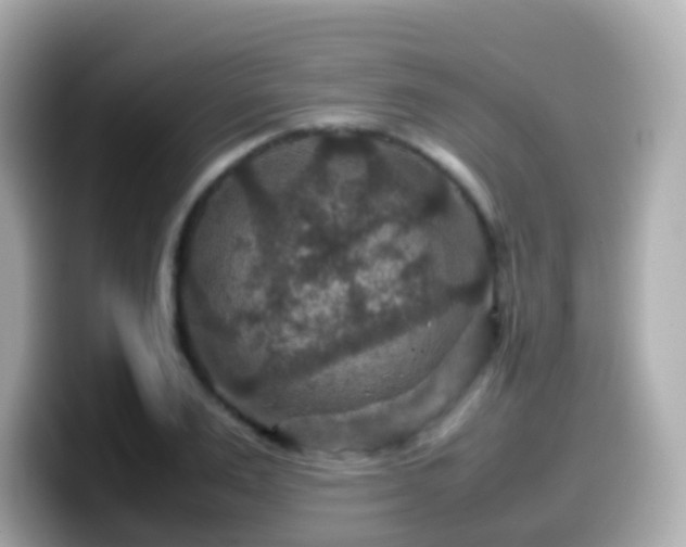 X0000099570983200805231528