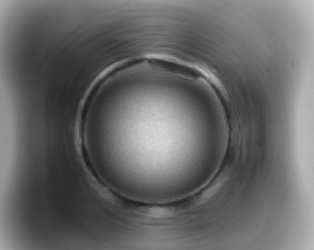 X0000099570984200805231528