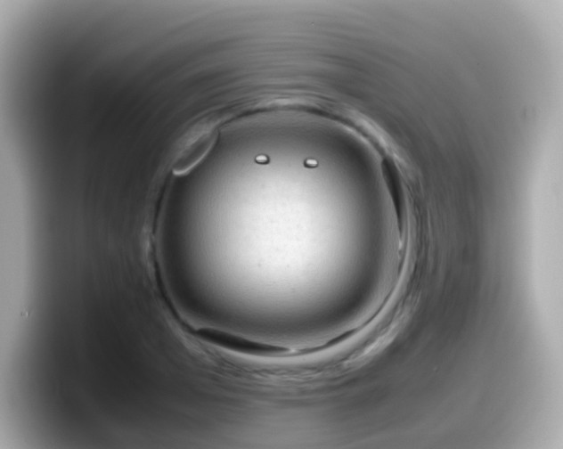 X0000099570985200805231528