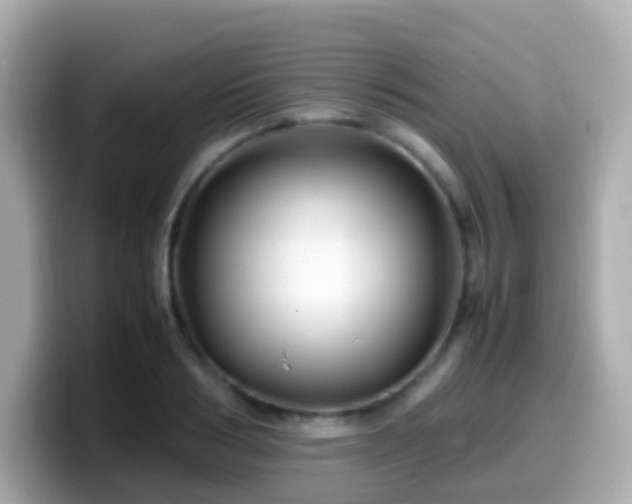 X0000099570986200805231528