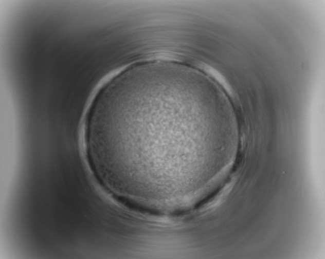 X0000099570987200805231528