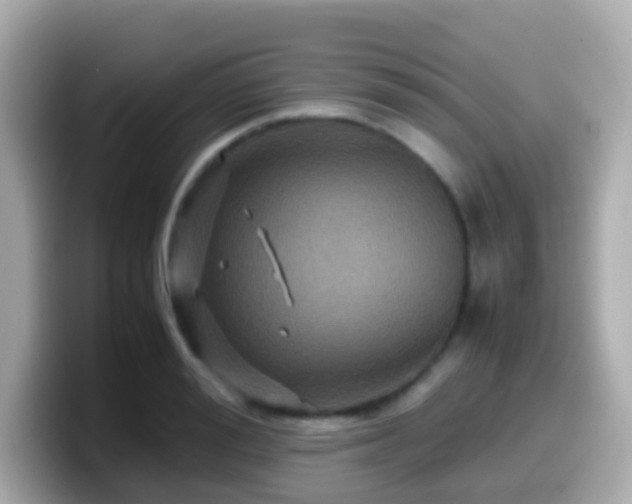 X0000099570988200805231528