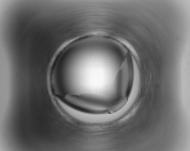 X0000099570989200805231528