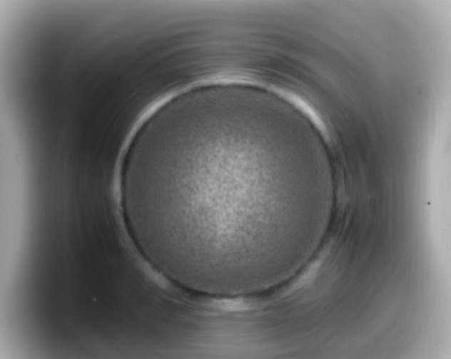 X0000099570990200805231528