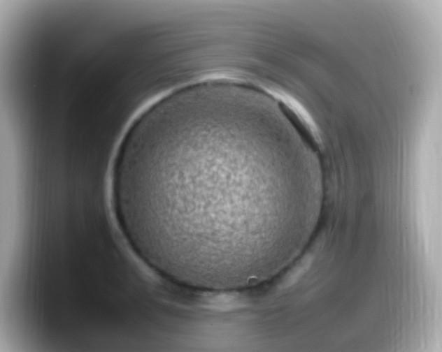 X0000099570991200805231528