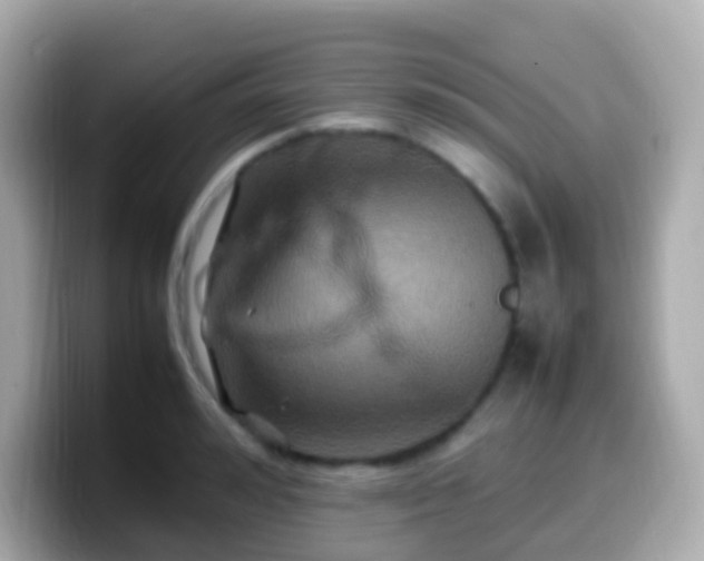 X0000099570992200805231528