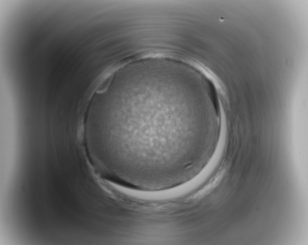 X0000099570993200805231528