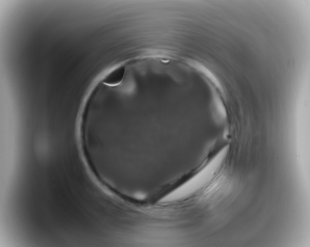 X0000099570995200805231528