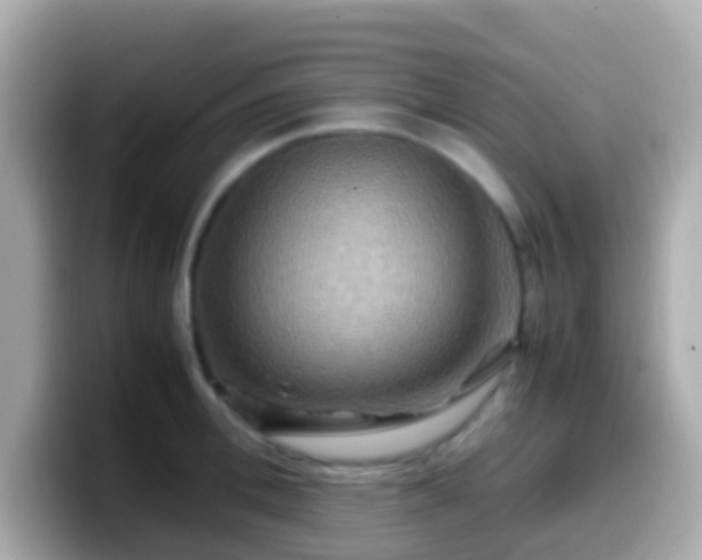 X0000099570996200805231528