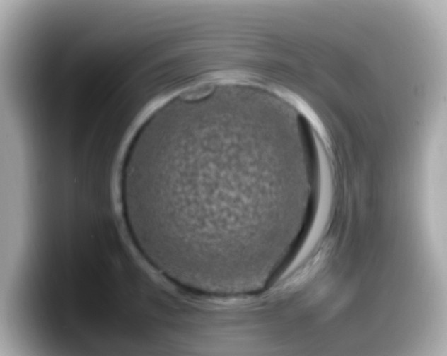 X0000099570997200805231528