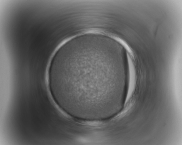 X0000099570999200805231528