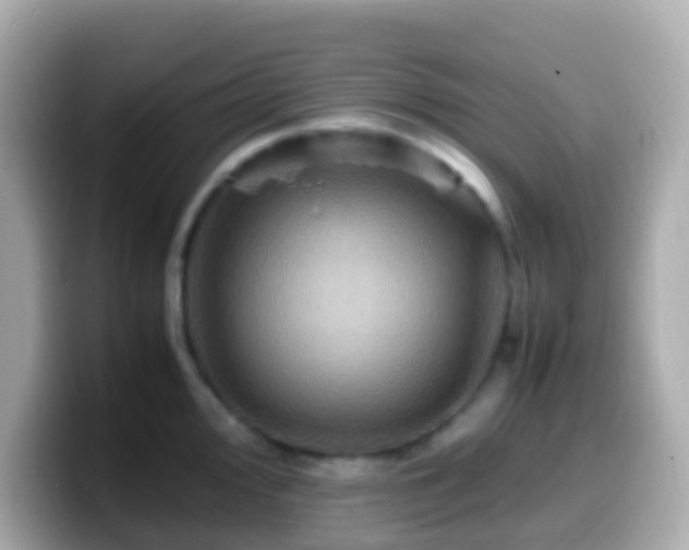 X0000099571000200805231528