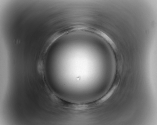 X0000099571001200805231528