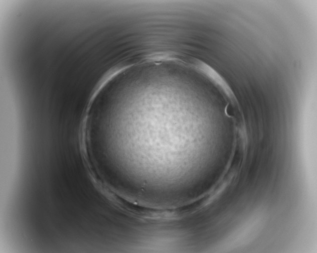 X0000099571002200805231528