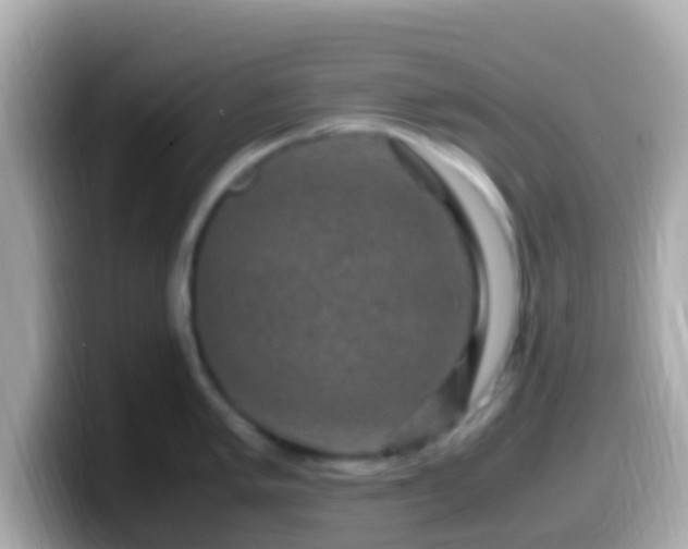 X0000099571005200805231528