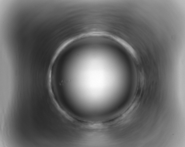 X0000099571006200805231528