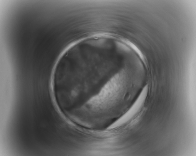 X0000099571007200805231528