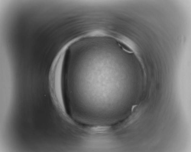 X0000099571008200805231528