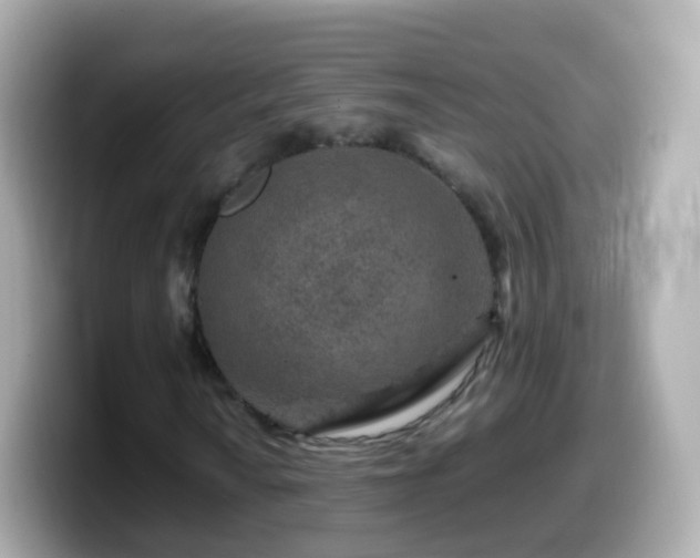 X0000099571010200805231527