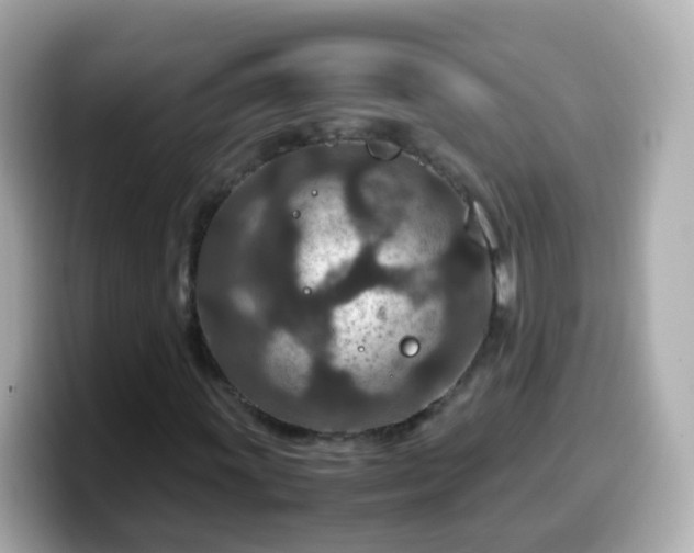 X0000099571011200805231527