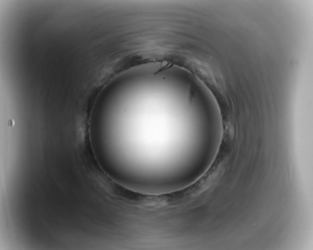 X0000099571012200805231527