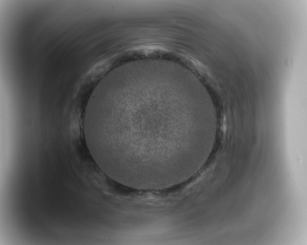 X0000099571014200805231527