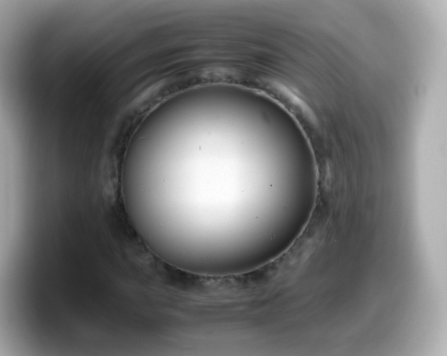 X0000099571015200805231527