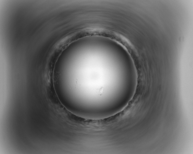 X0000099571016200805231527