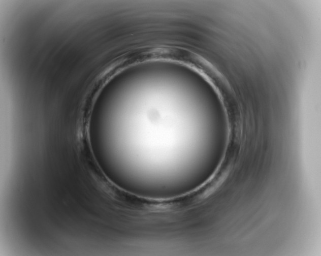 X0000099571017200805231527