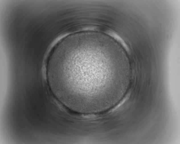 X0000099571019200805231527