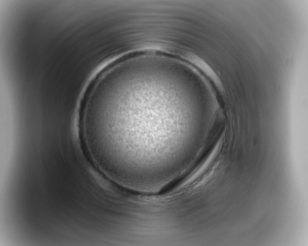 X0000099571020200805231527