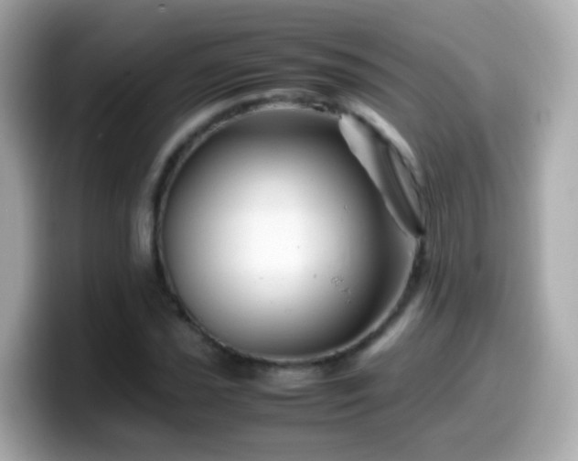 X0000099571021200805231527