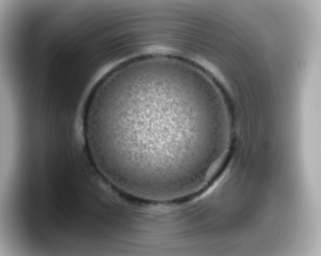 X0000099571022200805231527