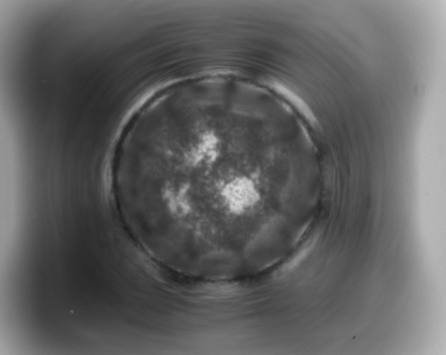 X0000099571023200805231527