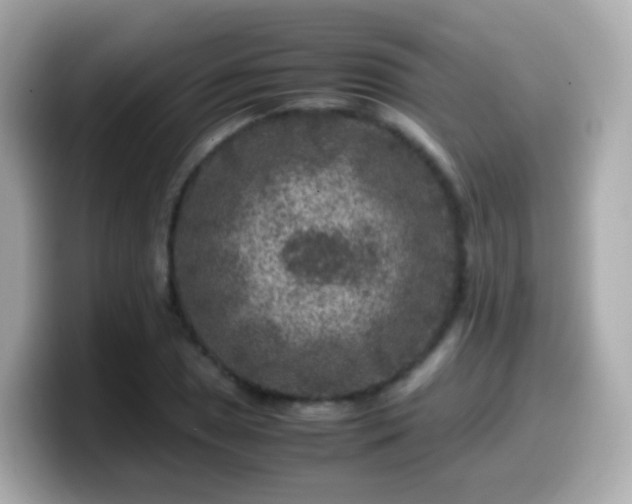 X0000099571025200805231527